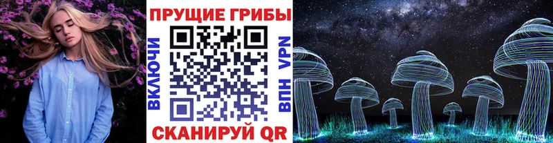 сколько стоит Инсар Псилоцибиновые грибы мицелий